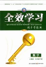 全效学习 同步学练测 数学 九年级 下 人教版