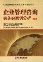 企业管理咨询实务与案例分析  上