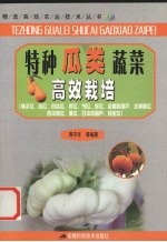 特种瓜类蔬菜高效栽培 佛手瓜、苦瓜、肉丝瓜、搅瓜、节瓜、蛇瓜、金黄西葫芦、水果黄瓜、西洋南瓜、碟瓜、日本肉葫芦、绿宝瓜、小冬瓜