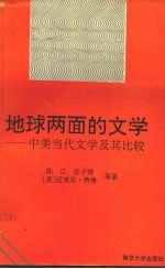 地球两面的文学  中美当代文学及其比较