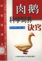 肉鹅科学饲养诀窍