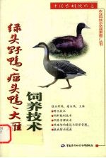 绿头野鸭、瘤头鸭、大雁饲养技术
