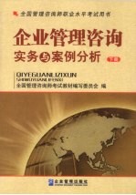 企业管理咨询实务与案例分析