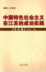 中国特色社会主义在江苏的成功实践 文化卷