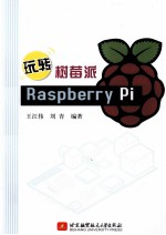 玩转树莓派  Raspberry  Pi