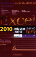 Excel 2010数据处理与分析实战技巧精粹