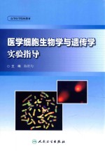 医学细胞生物学与遗传学实验指导