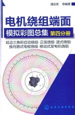 电机绕组端面模拟彩图总集  第4分册  延边三角形启动绕组  正弦绕组  波式绕组  换向器式电枢绕组  移动式发电机绕组