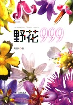 自然观察  野花999