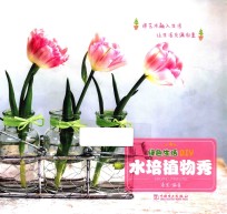 绿色生活DIY 水培植物秀