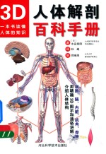 3D人体解剖百科手册