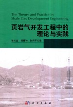 页岩气开发工程中的理论与实践