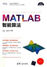 MATLAB智能算法