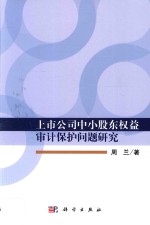 上市公司中小股东权益审计保护问题研究