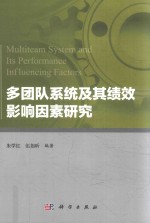 多团队系统及其绩效影响因素研究