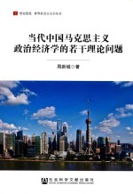 当代中国马克思主义政治经济学的若干理论问题