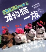 你猫叔了没？ 5 顶物猫一族