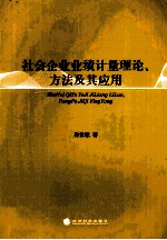 社会企业业绩计量理论、方法及其应用