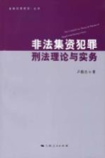 非法集资犯罪刑法理论与实务