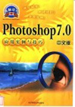 Photoshop 7.0中文版应用实例与技巧