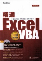 精通Excel VBA 视频精讲版