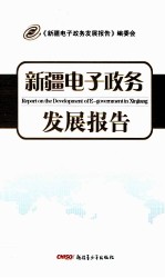 新疆电子政务发展报告