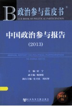 中国政治参与报告 2013