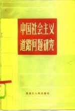 中国社会主义道路问题研究