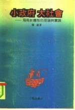 小政府大社会 海南新体制的理论与实践