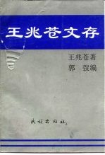 王兆苍文存 中国当代语文教学今昔谈