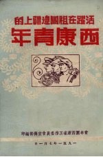 活跃在祖国边疆上的西康青年