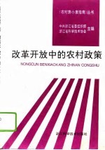 改革开放中的农村政策