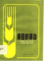 麦田的革命 闻喜东官庄旱地小麦高产稳产经验