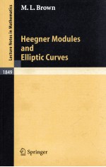 HEEGNER MODULES AND ELLIPTIC CURVES