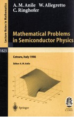 MATHEMATICAL PROBLEMS IN SEMICONDUCTOR PHYSICS