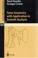 TAME GEOMETRY WITH APPLICATION IN SMOOTH ANALYSIS