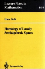 LECTURE NOTES IN MATHEMATICS 1484: HOMOLOGY OF LOCALLY SEMIALGEBRAIC SPACES