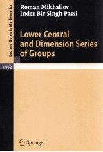 LOWER CENTRAL AND DIMENSION SERIES OF GROUPS