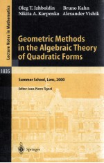 GEOMETRIC METHODS IN THE ALGEBRAIC THEORY OF QUADRATIC FORMS