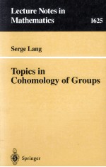 TOPICS IN COHOMOLOGY OF GROUPS