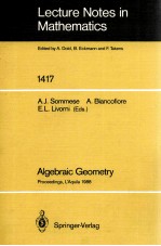 LECTURE NOTES IN MATHEMATICS 1417: ALGEBRAIC GEOMETRY