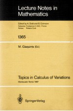 LECTURE NOTES IN MATHEMATICS 1365: TOPICS IN CALCULUS OF VARIATIONS