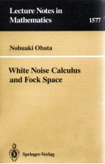 WHITE NOISE CALCULUS AND FOCK SPACE