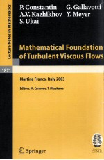 MATHEMATICAL FOUNDATION OF TURBULENT VISCOUS FLOWS