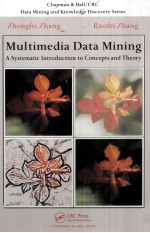 Multimedia Data Mining A Systematic Introduction to Concepts and Theory