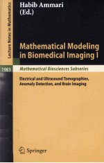 MATHEMATICAL MODELING IN BIOMEDICAL IMAGING I