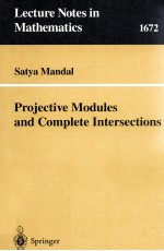 PROJECTIVE MODULES AND COMPLETE INTERSECTIONS