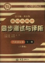 基础与提升 同步测试与评析 化学 九年级 全1册 上教版