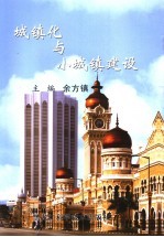 城镇化与小城镇建设