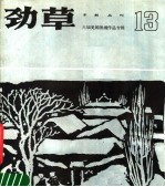 劲草木刻丛刊 13